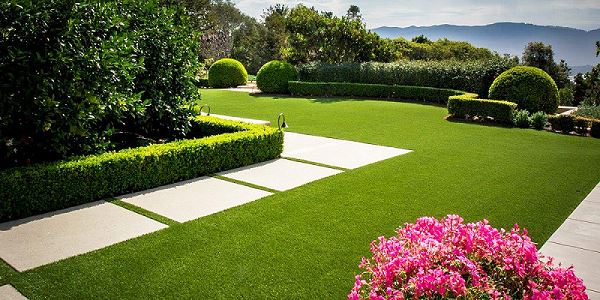 Garden 1