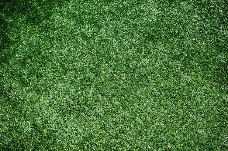 Yuav ua li cas kom Artificial Lawn txias rau lub caij ntuj sov