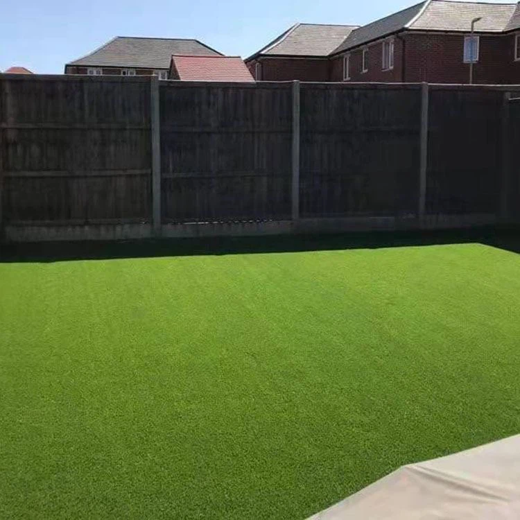 Cov txiaj ntsig ntawm Rooftop Grass