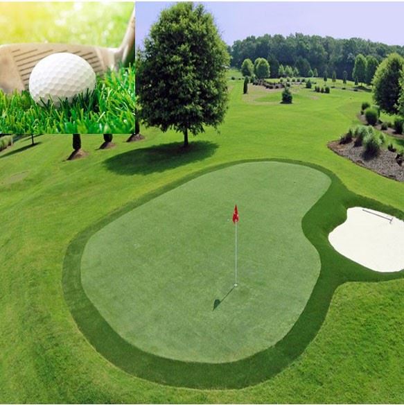 Cheap price golf grass